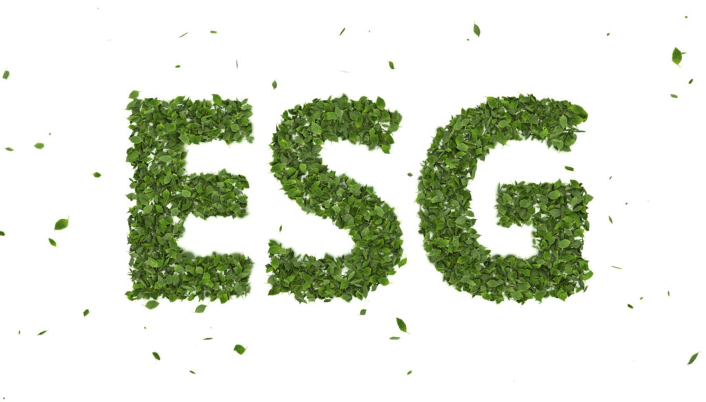 What is ESG