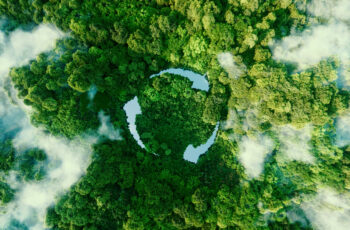 Unveiling the Green Secret: The Significance of Life Cycle Assessment in Sustainable Marketing