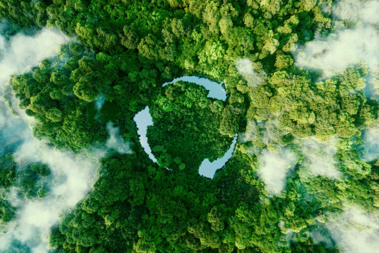 Unveiling the Green Secret: The Significance of Life Cycle Assessment in Sustainable Marketing