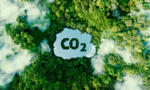 How to Incorporate Eco-Friendly Practices into Your Marketing Strategy