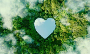 How to Incorporate Eco-Friendly Practices into Your Marketing Strategy