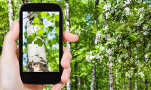 How to Incorporate Eco-Friendly Practices into Your Marketing Strategy