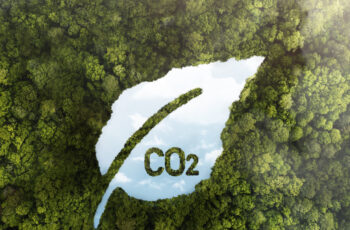 Why Sustainable Marketing Matters More Than Ever