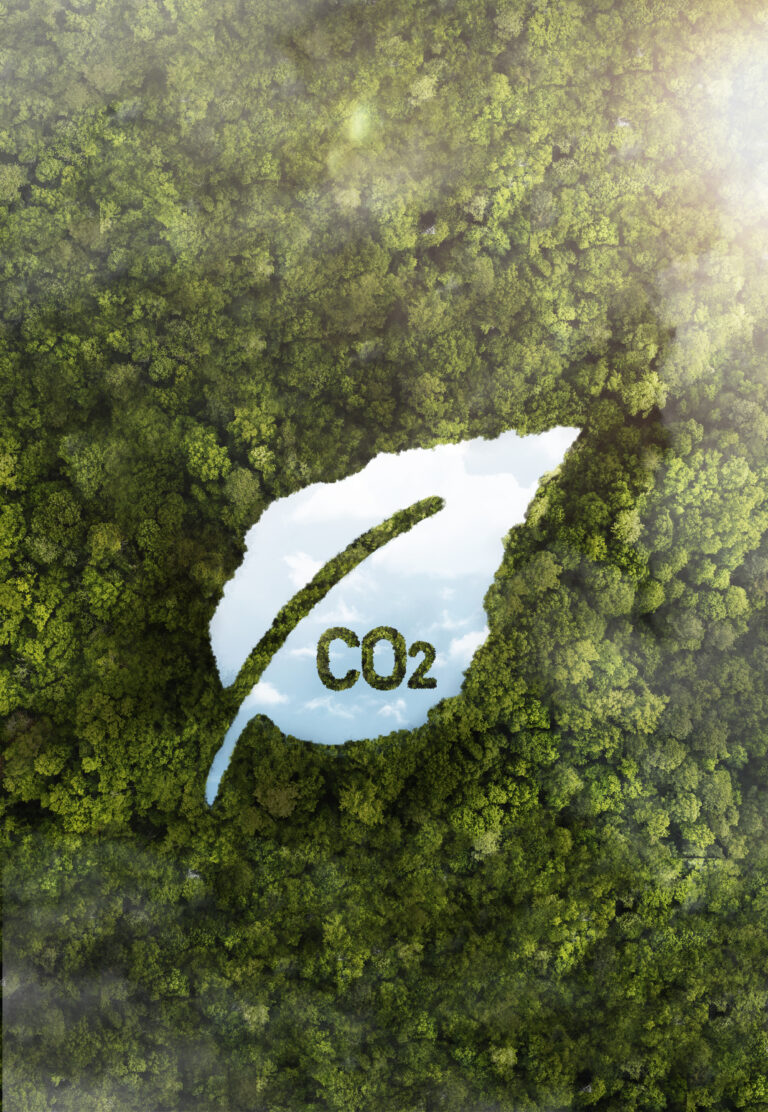 Why Sustainable Marketing Matters More Than Ever